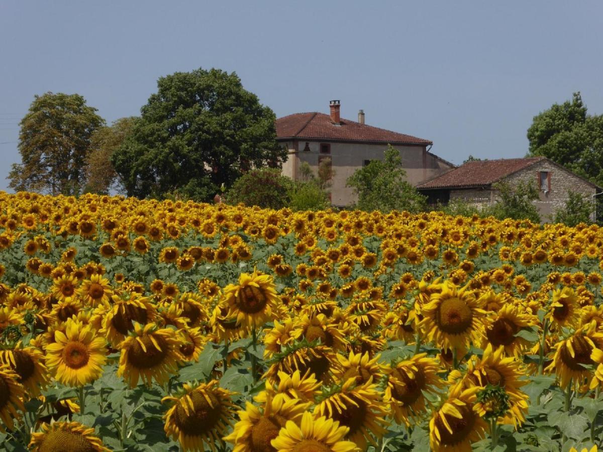 Les Campsis Villa Saint-Antonin Buitenkant foto